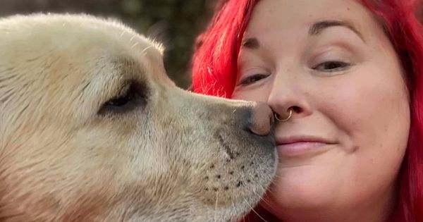 Pet dogs travelling to Crufts from NI now considered to be ‘livestock’ by DAERA