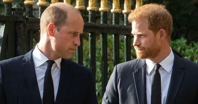 Prince Harry 'edging closer to exile' as he continues 'self-sabotaging' Royal relationships