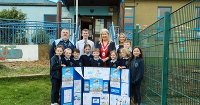 NI Primary schools asking parents to stop poisonous car idling