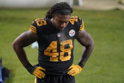Do you support the Steelers bringing back LB Bud Dupree?