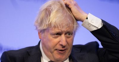'The honours system rewards duty and courage - concepts alien to Boris Johnson'