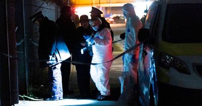 Police swarm road as forensics and dogs search wasteland