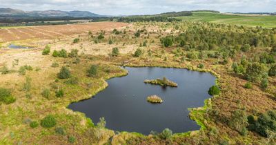 £1 million economic boost in Northwoods Rewilding Network’s early years