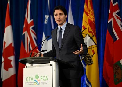 Canadian official to examine Chinese election interference