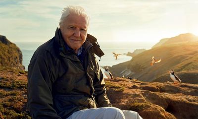 Producers feared David Attenborough would catch bird flu and die during filming