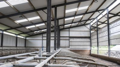 TAMS 3 ‘out-of-date already’ as new shed costs to remain high