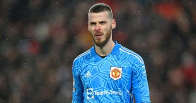 David de Gea has just shown truth about Liverpool and it will hurt Manchester United fans