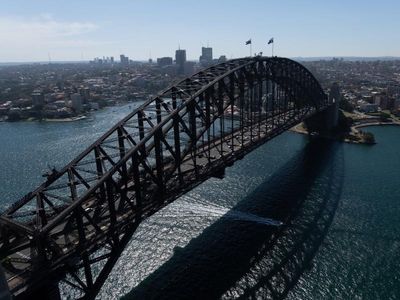 Sydney Harbour Bridge blockade protesters plead guilty