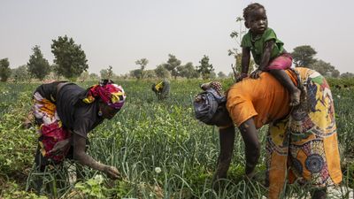 Gender gap at work far wider than expected, women's pay remains static, UN says