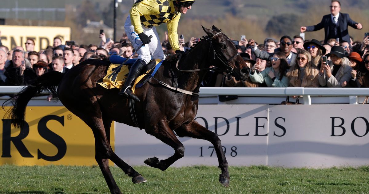 Cheltenham Festival 2023 Twotime Gold Cup winner…