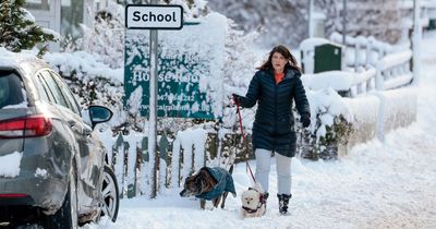 National Grid issues warning as UK braced for five days of snow and ice