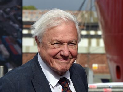 David Attenborough TV show producers feared presenter could catch bird flu and die during filming
