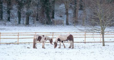 When it's expected to snow again in the North East according to Met Office weather experts