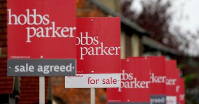 Average UK house prices fall by £8,500 from August 2022 peak, says Halifax