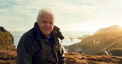 Scotland to feature in new Sir David Attenborough BBC nature series