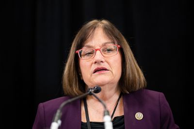 New Dems Chair Kuster seeks to bridge the congressional divide - Roll Call
