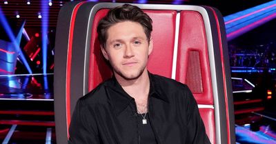 Niall Horan divides The Voice fans after heated 'feud' with co-star in explosive debut