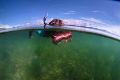 The rewilding project restoring Scotland's native oysters and seagrass meadows