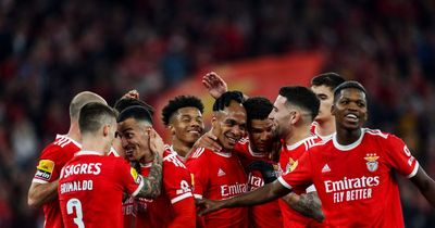 Benfica vs Club Brugge prediction and odds ahead of Champions League clash