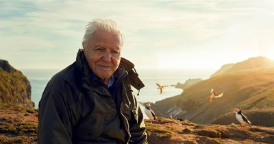 Wild Isles: David Attenborough's new BBC series to feature Giant's Causeway