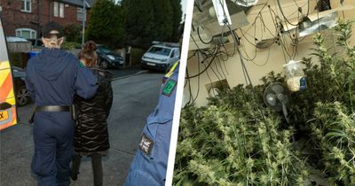 Woman arrested after specialist officers smash into house and uncover cannabis farm