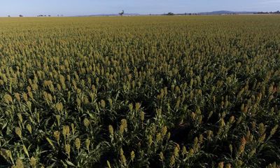 Australia’s drought planning should begin now, not when the rain dries up