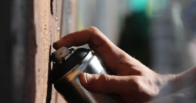 Mum leaves daughters howling after cleaning mix-up sees her cover car in spray paint