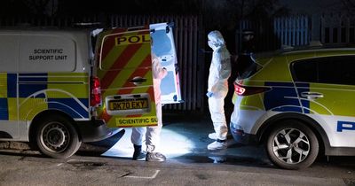Two guns found after police and forensics search woodland