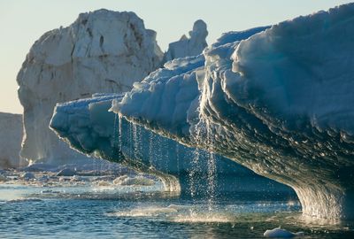 Greenland's water ecosystem being remade