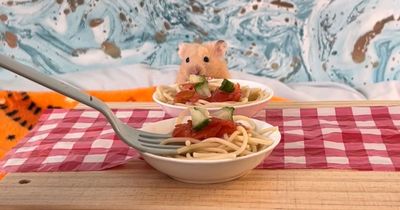 'I treat my spoiled hamsters to luxurious home-cooked meals so they have a varied diet'