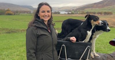 Farming project fulfils growing ambitions of Perthshire beef fan Beth