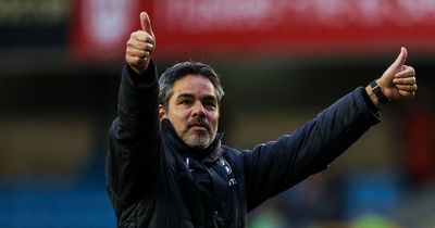 Norwich boss David Wagner's message to Sunderland ahead of this weekend's Carrow Road trip