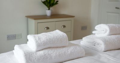 Cleaning expert shares 29p kitchen staple that 'hotels use for soft and fluffy towels'