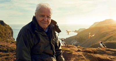 New Sir David Attenborough BBC series Wild Isles to star Northumberland on Sunday night