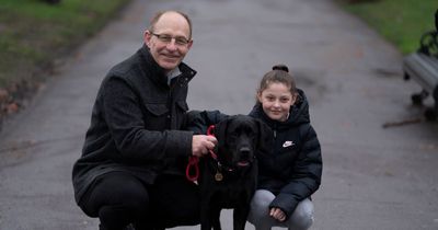 Inspirational dog who helped eight-year-old through leukaemia nominated for Hero Dog award