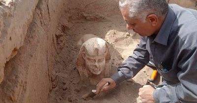 Sphinx statue 2,000-years-old with smiley face and dimples unearthed in Egypt