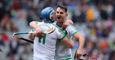 Hurling Club Team of the Year announced as All-Ireland champions dominate list