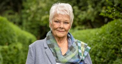 Dame Judi Dench wipes tears after discovering Shakespeare link and royal connection