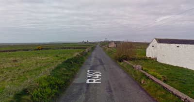 Woman dies in horror crash between a car and a truck in Co Clare