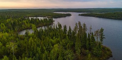 Global warming is changing Canada's boreal forest and tundra