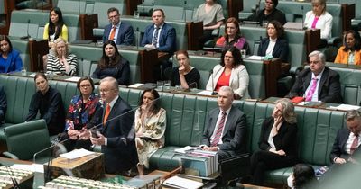 Powerful mandate behind Albanese government's gender agenda