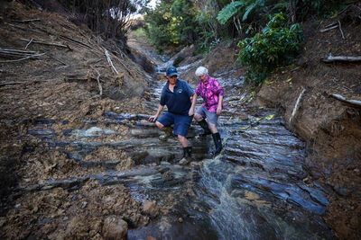 Buried by mud and silt, New Zealand’s farms face ‘10-year recovery’ – picture essay
