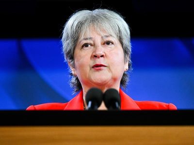 Repatriation of Indigenous items not 'simple': UK envoy