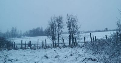 The full list of schools closed following heavy snow fall across Wales