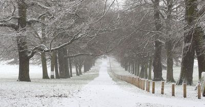 Hour-by-hour Nottinghamshire weather forecast as Met Office map warns of UK 'blizzards'