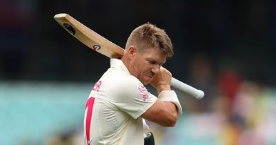 Former Australia coach makes bold David Warner Ashes claim amid retirement talk