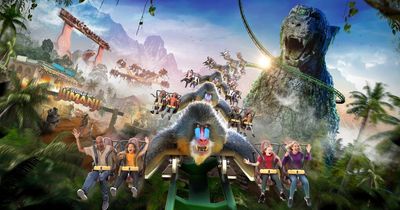 Win four Merlin Gold Annual passes and treat your family to the time of their lives!