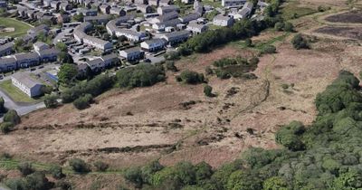 This 'irreplaceable' common land in Swansea is to be covered with 56 'critically needed' affordable homes