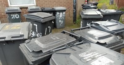 Lisburn Castlereagh withdraws tender for new household bin policy