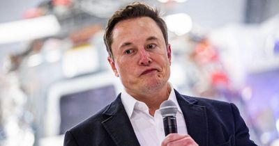 Elon Musk backtracks after mocking disabled Twitter worker in baffling sacking scandal